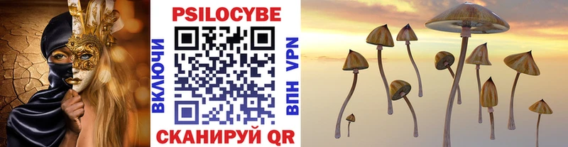 купить OMG tor Галлюциногенные грибы Psilocybine cubensis Терек
